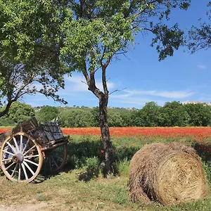 La Petite Galéjade Hébergement de vacances